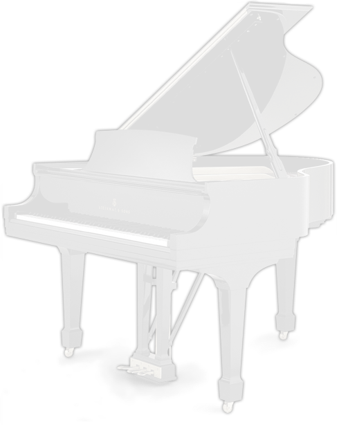 Ebony Steinway Model D 1921
